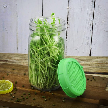 1 plastic Sprouting / Germinating mason Jar mesh lid system