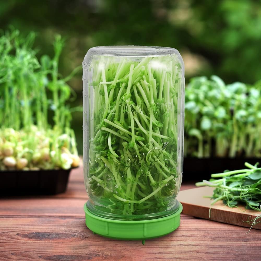 1 plastic Sprouting / Germinating mason Jar mesh lid system