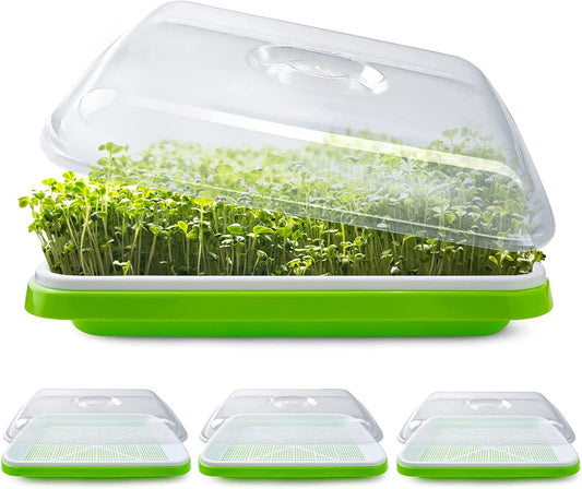 (3) Three Tray Kit + 1/2 lb. Wheat Berry seeds & 1/2 lb. of Broccoli seeds