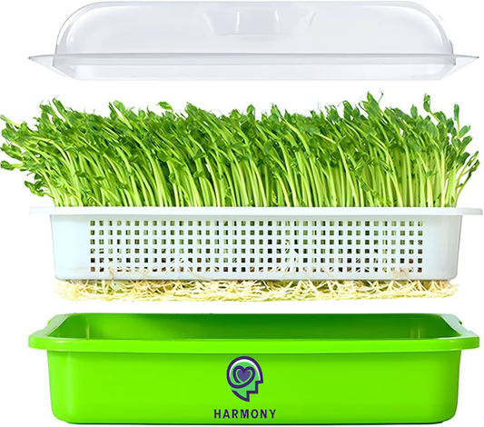 1 Tray + 1/2 lb. of Wheat Berry Sprouting Seeds